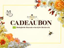 Rozen Cadeaubon