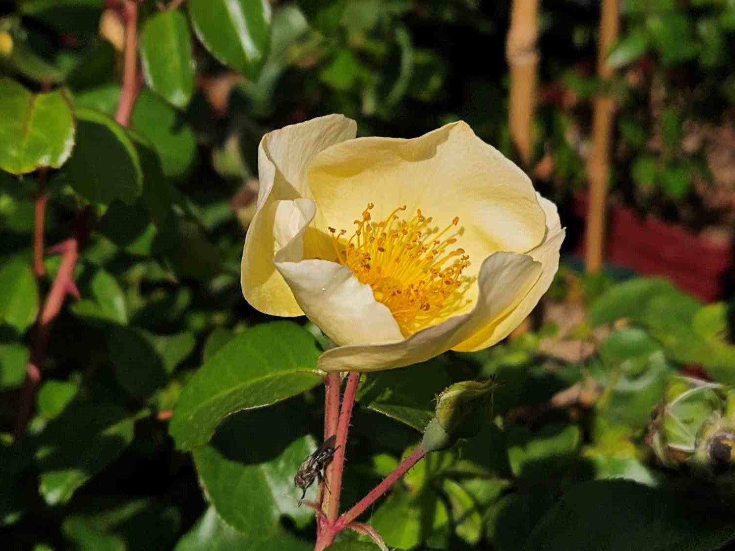 Coloma_20250821_01 lowres