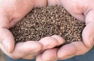 organische rozenmest