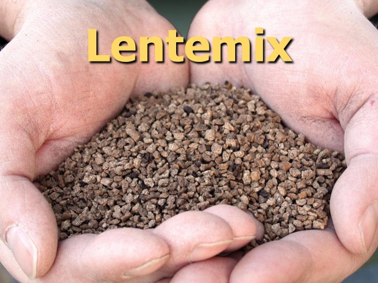 productfoto mest op maat lentemix geel