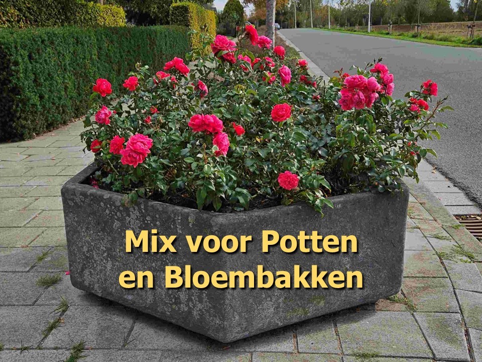 productfoto mest op maat pottenmix geel